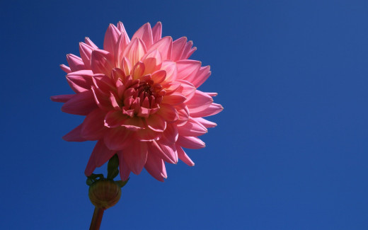875353 (a): :2560x1600